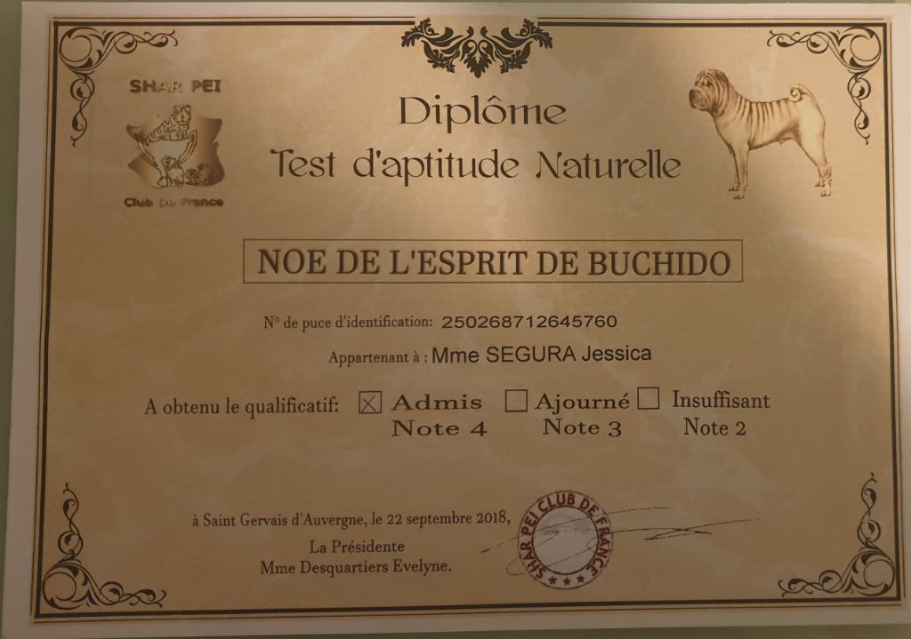 Noé De L'Esprit De Buchido